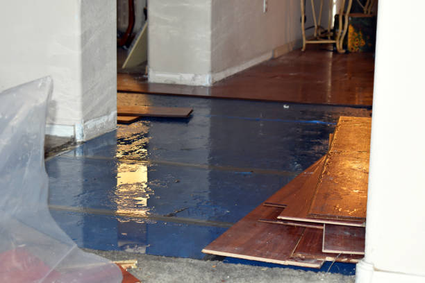 Professional Basement Water Removal technician working in Hanover, ME